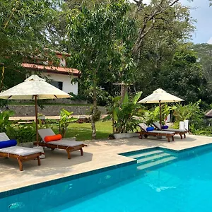 Shenandoah **** Kandy